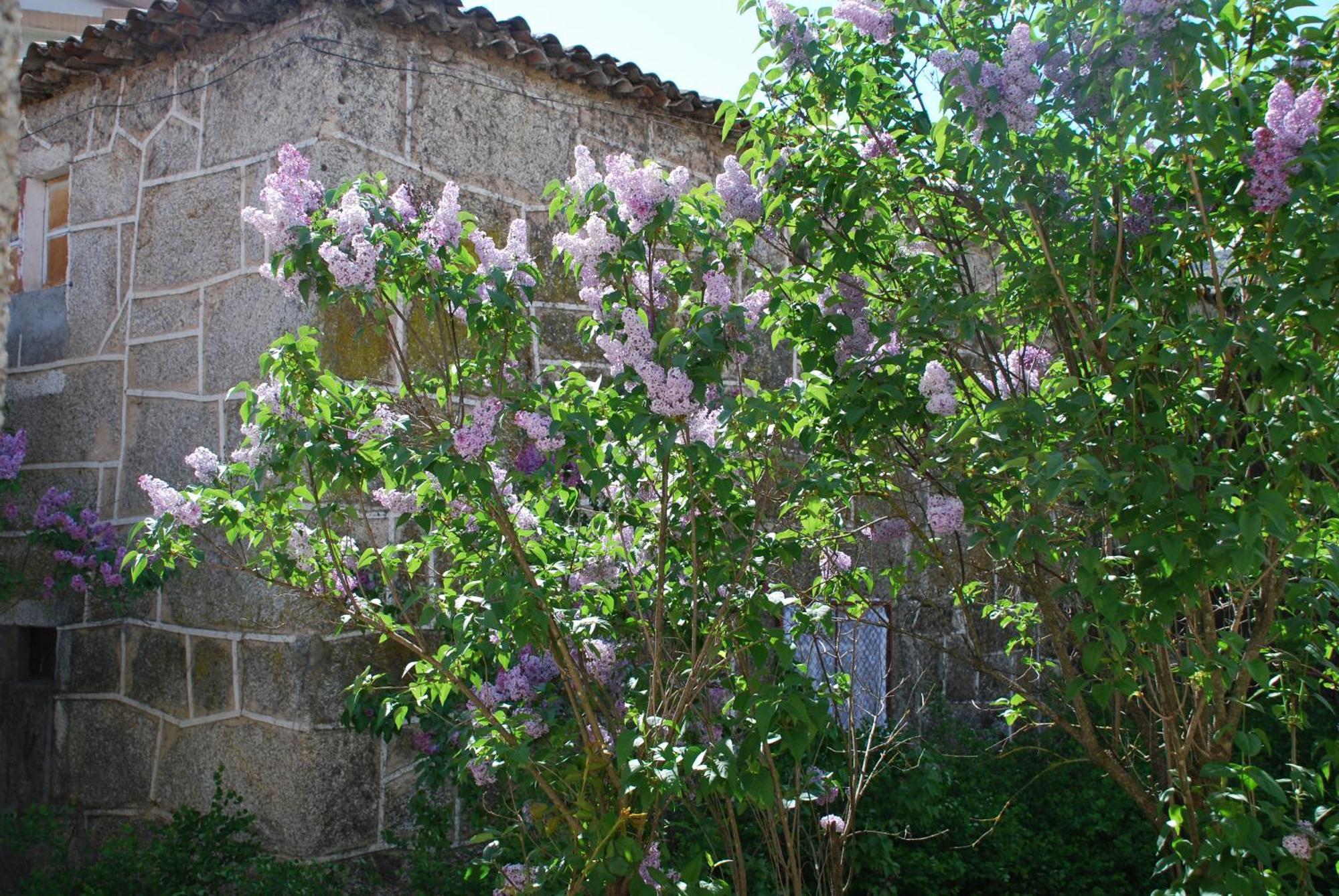 Refugio De Calheiros Villa Covilhã Buitenkant foto